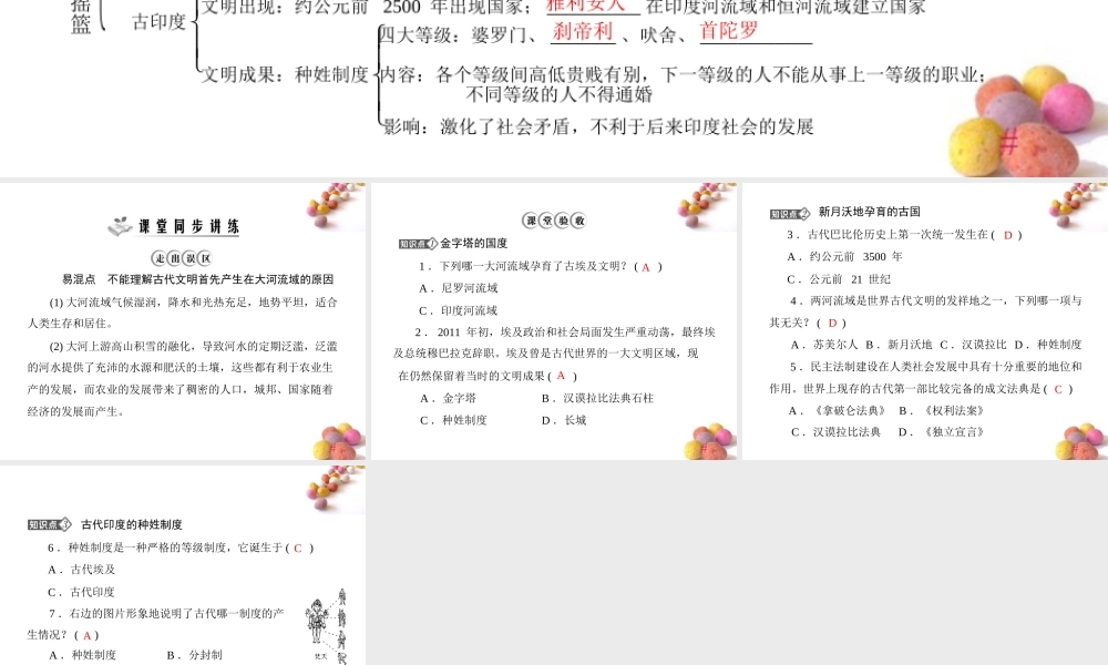 九年级历史上册 第一单元 第2课 大河流域——人类文明的摇篮  配套课件 人教新课标版 课件