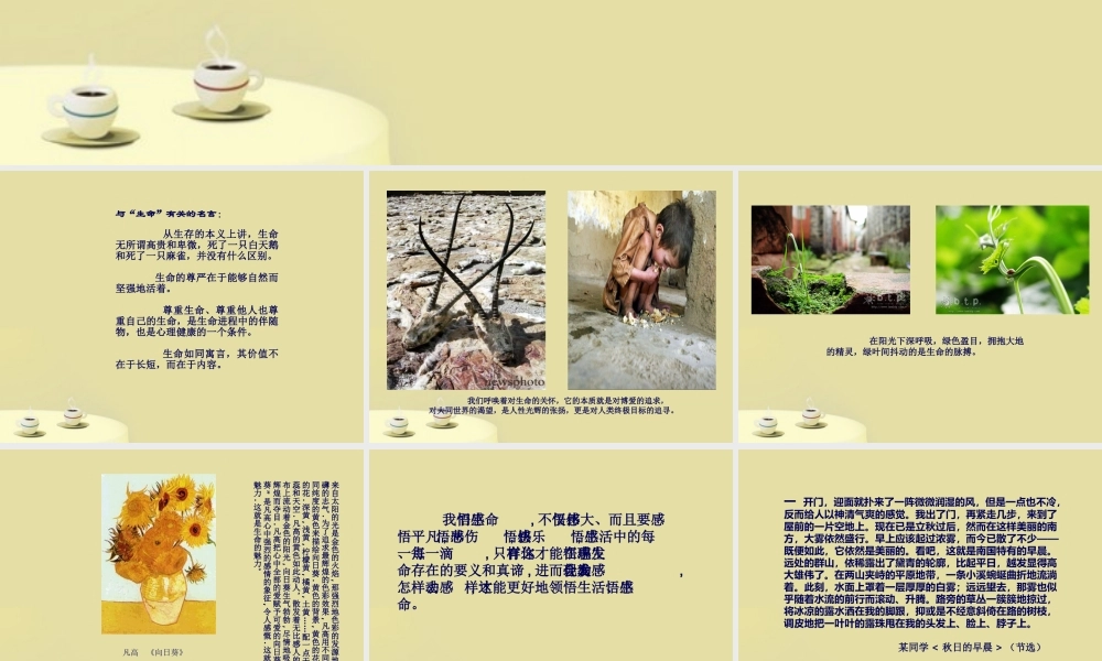 中考语文 浸染生命意识 提升作文品格课件