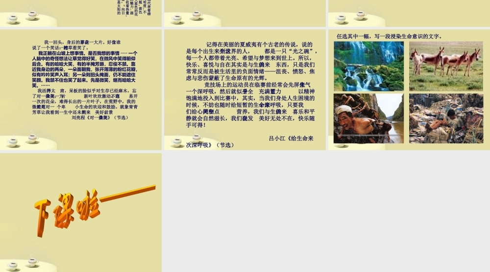 中考语文 浸染生命意识 提升作文品格课件