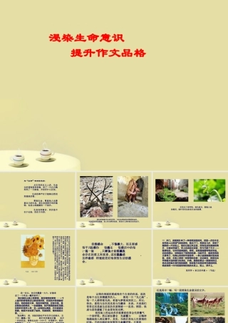 中考语文 浸染生命意识 提升作文品格课件