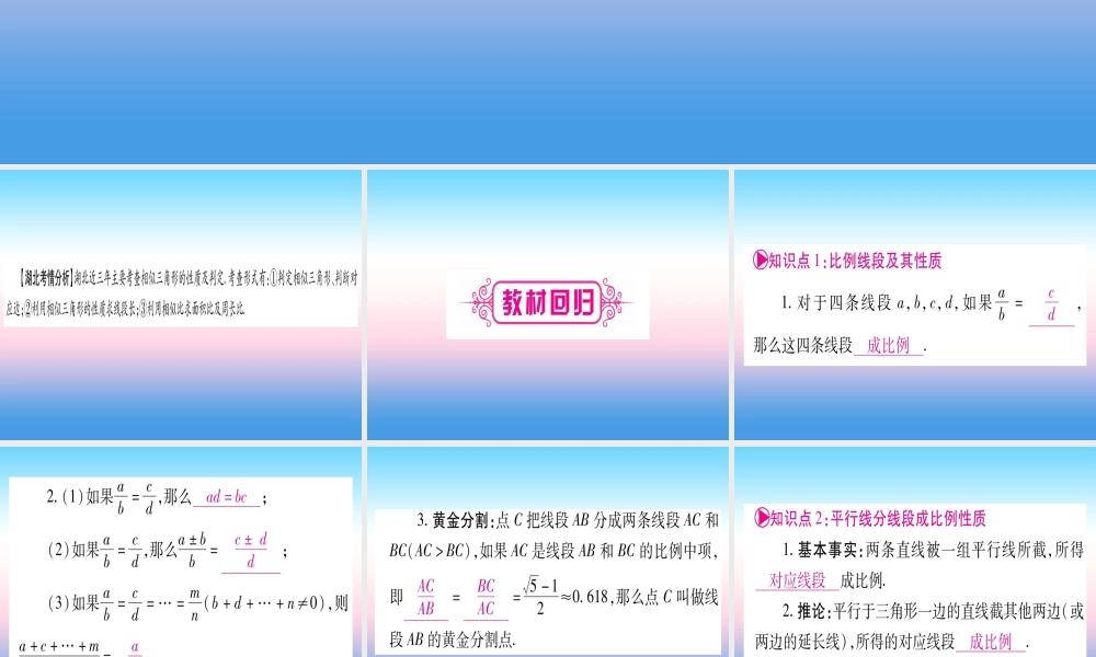 (湖北专版)中考数学总复习 第1轮 考点系统复习 第4章 三角形 第5节 相似三角形习题课件