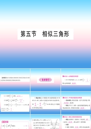 (湖北专版)中考数学总复习 第1轮 考点系统复习 第4章 三角形 第5节 相似三角形习题课件