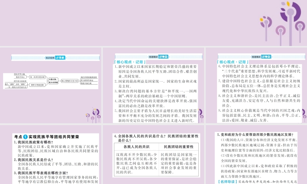 中考道德与法治总复习 九上 第一单元 五星红旗，我为你骄傲课件