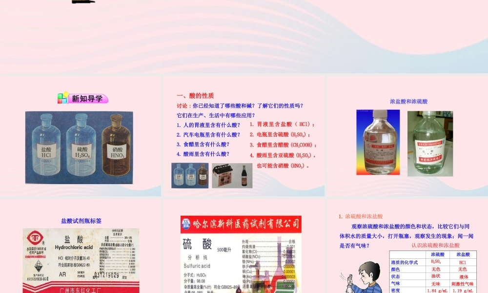 九年级化学全册 第一单元 常见的酸和碱 第三节 酸和碱的性质(第1课时 酸的性质)课件 鲁教版五四制 课件