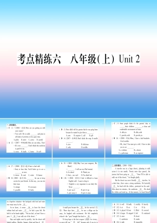 中考英语准点备考 第一部分 教材系统复习 考点精练六 八上 Unit 2课件