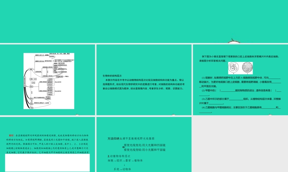 中考生物 专题2 生物体的结构层次课件