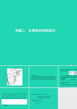中考生物 专题2 生物体的结构层次课件