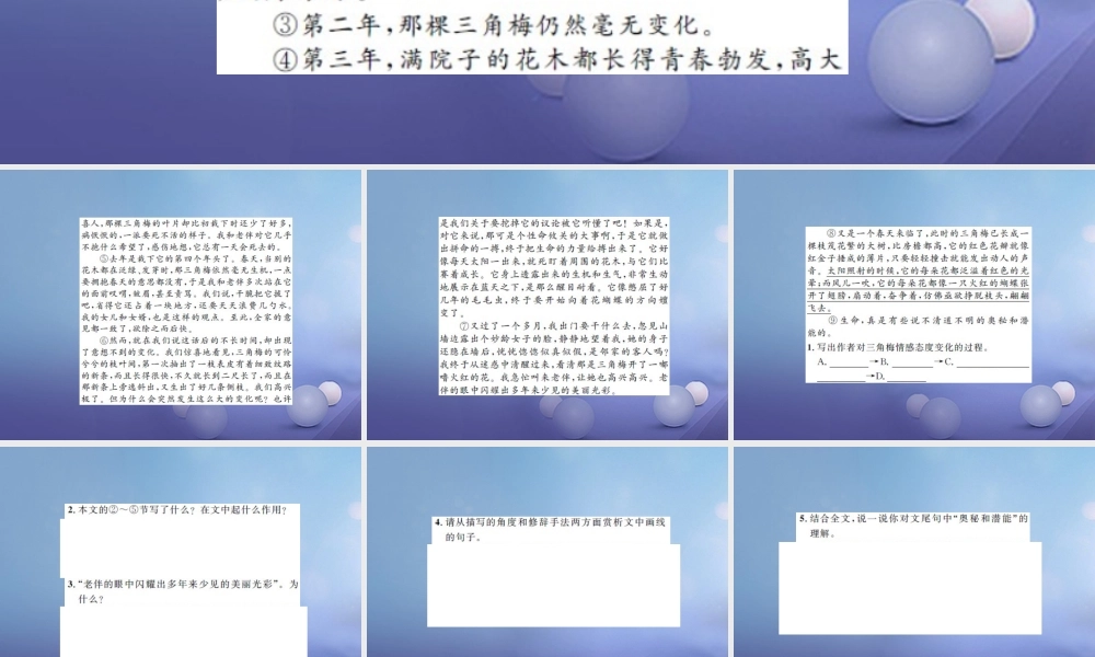 中考语文总复习 第二十一讲 记叙文 散文小说阅读 四 敬畏生命，物灵人睿作业课件