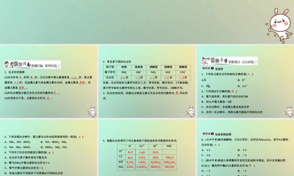 九年级化学上册 第4单元 自然界的水 课题4 化学式与化合价 第2课时 化合价作业课件 (新版)新人教版 课件