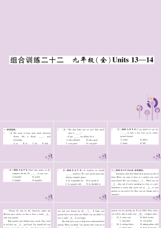 中考英语总复习 第一篇 教材知识梳理篇 组合训练22 九全 Units 13 14(精练)课件
