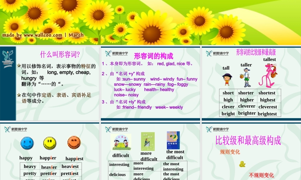 中考英语复习形容词 课件