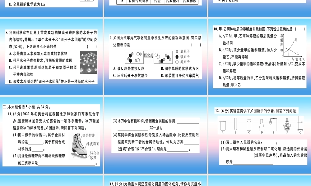 九年级化学下册 模拟卷(二)习题课件 新人教版 课件