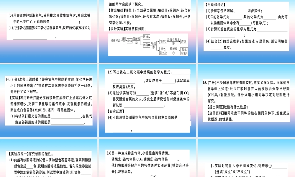 九年级化学下册 模拟卷(二)习题课件 新人教版 课件