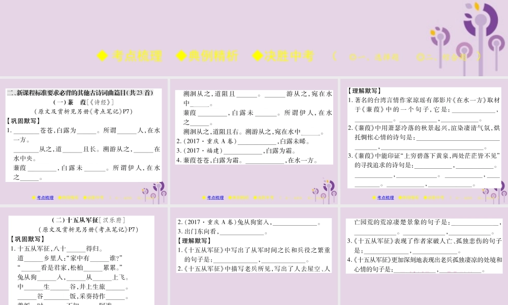 中考语文复习 第二部分 古诗文积累与阅读 专题一 古诗词曲(二)课件