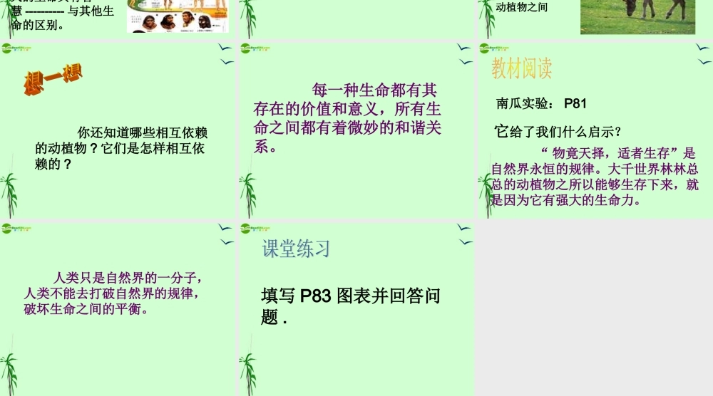 七年级政治上册 第八课第一讲 神奇的生命课件 人民版 课件