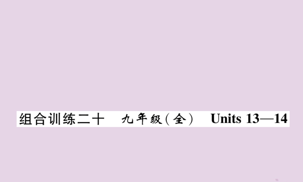 (贵阳专版)中考英语总复习 第1部分 教材知识梳理篇 组合训练全 Units 13 14(精练)课件