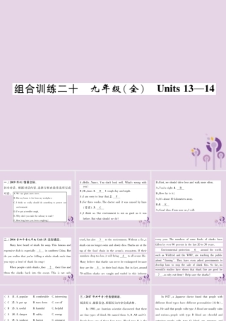(贵阳专版)中考英语总复习 第1部分 教材知识梳理篇 组合训练全 Units 13 14(精练)课件