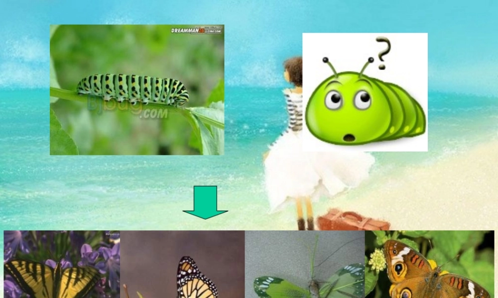 七年级政治下册 长大的感觉课件 苏教版 课件