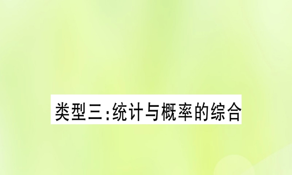 (湖北专用版)版中考数学总复习 第二轮 专项突破8 统计与概率 类型3 统计与概率的综合实用课件