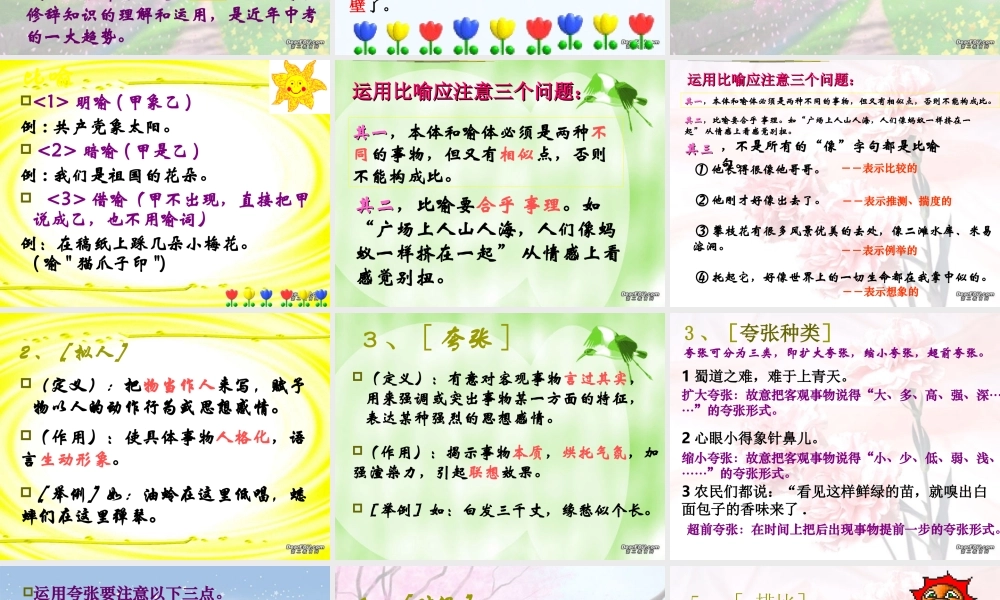 中考语文专题复习 修辞与仿句 试题