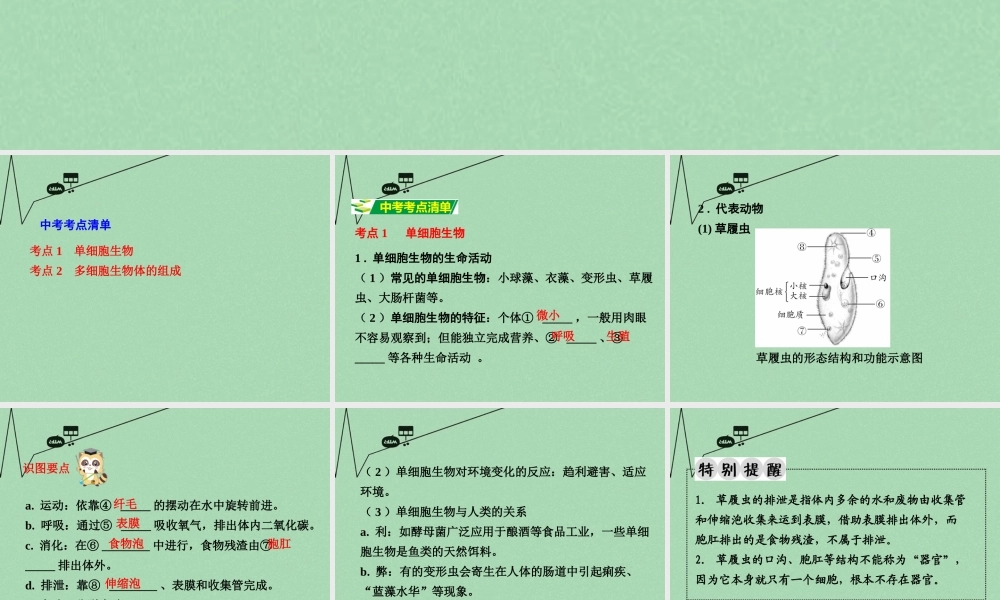 中考生物 第一部分 教材知识梳理 第2单元 第4章 生物体的组成复习课件 苏教版 课件