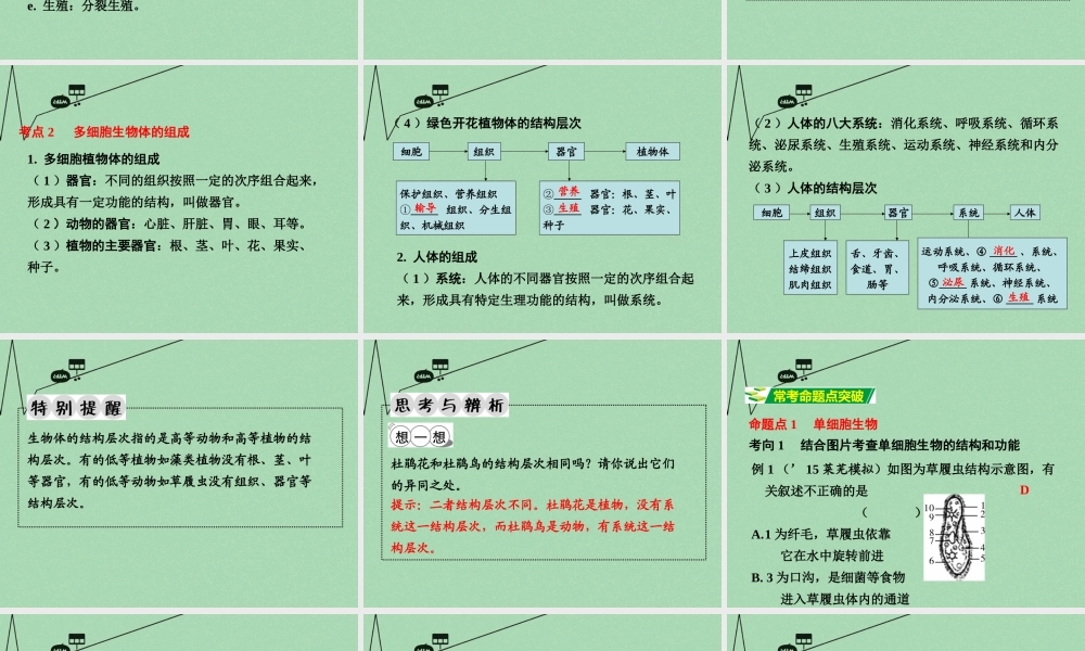 中考生物 第一部分 教材知识梳理 第2单元 第4章 生物体的组成复习课件 苏教版 课件