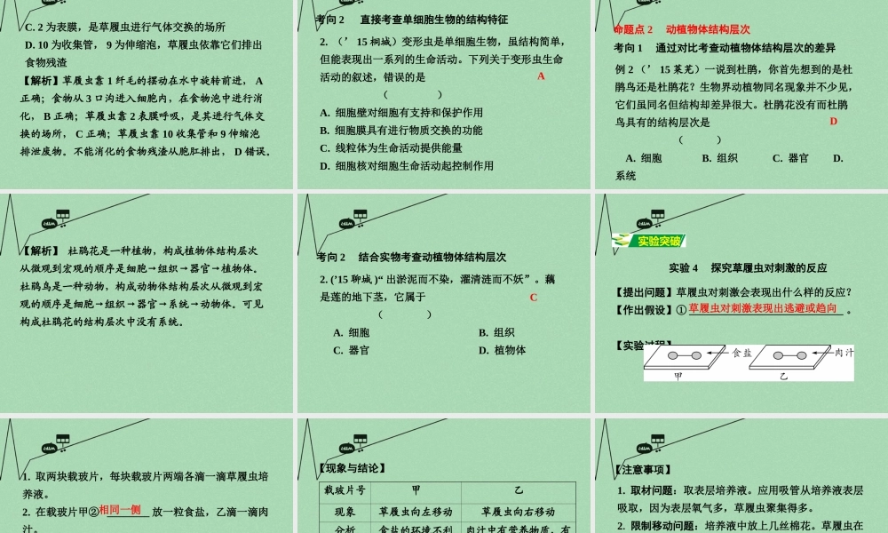 中考生物 第一部分 教材知识梳理 第2单元 第4章 生物体的组成复习课件 苏教版 课件