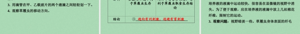 中考生物 第一部分 教材知识梳理 第2单元 第4章 生物体的组成复习课件 苏教版 课件