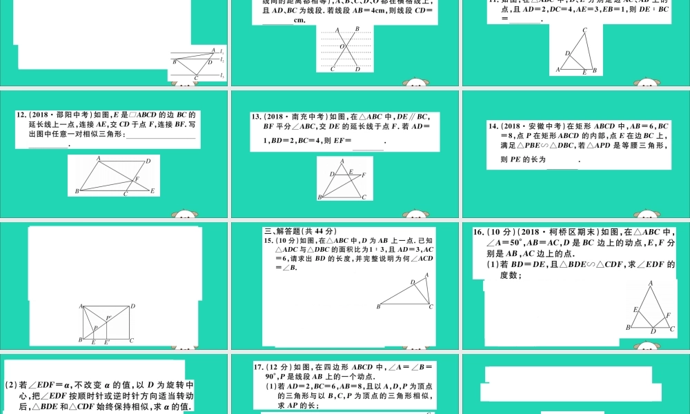 (湖北专用)九年级数学下册 综合滚动练习 相似三角形的性质与判定习题讲评课件 (新版)新人教版 课件