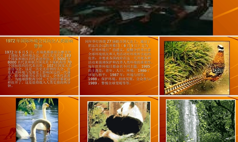 Unit9 高二英语Unit9 Saving the earth  教案 人教版 高二英语Unit9 Saving the earth  教案 人教版