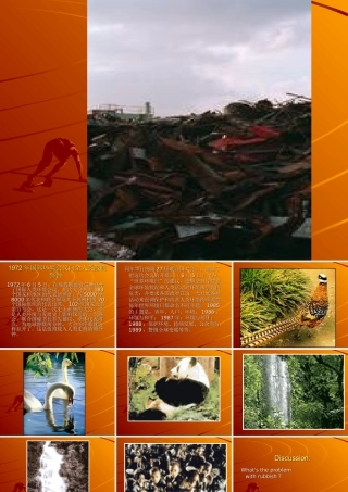 Unit9 高二英语Unit9 Saving the earth  教案 人教版 高二英语Unit9 Saving the earth  教案 人教版
