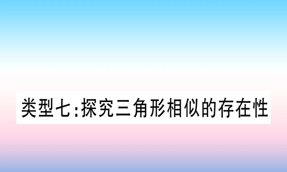 (湖北专版)中考数学总复习 第3轮 压轴题突破 解答题压轴题突破 重难点突破4 二次函数与几何函数综合题 类型7 探究三角形相似的存在性习题课件