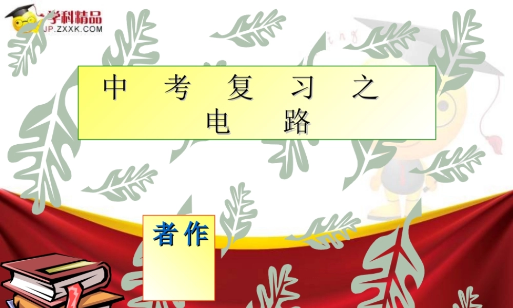 中考物理复习 电路课件 人教新课标版 课件