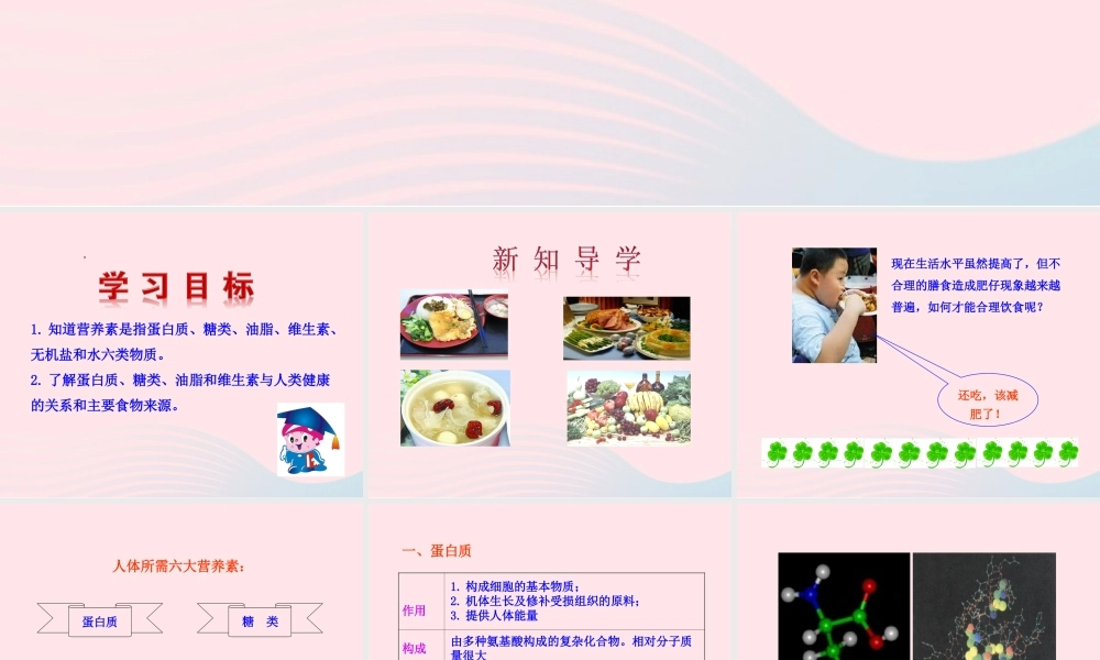 九年级化学下册 第十二单元 化学与生活 课题1 人类重要的营养物质课件 新人教版 课件