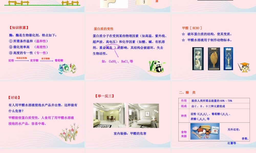 九年级化学下册 第十二单元 化学与生活 课题1 人类重要的营养物质课件 新人教版 课件