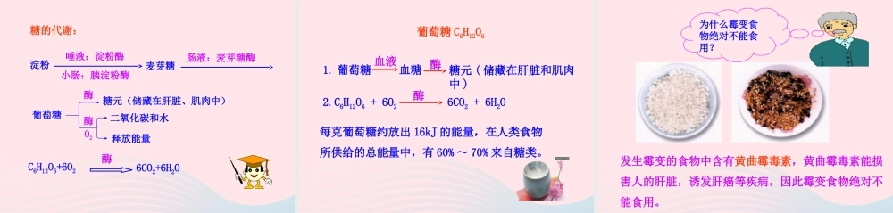 九年级化学下册 第十二单元 化学与生活 课题1 人类重要的营养物质课件 新人教版 课件