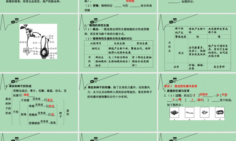 中考生物 第一部分 教材知识梳理 第8单元 第21章 生物的生殖与发育复习课件 苏教版 课件
