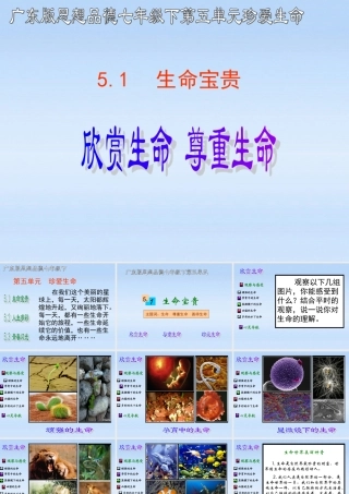 七年级政治下册 (欣赏生命 尊重生命)教学课件 粤教版 课件