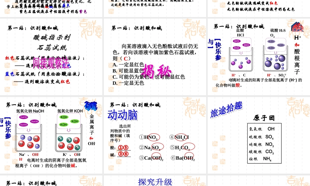九年级化学 第一节生活中的酸和碱课件 鲁教版 课件