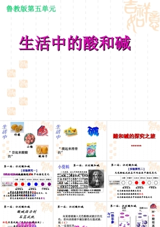 九年级化学 第一节生活中的酸和碱课件 鲁教版 课件