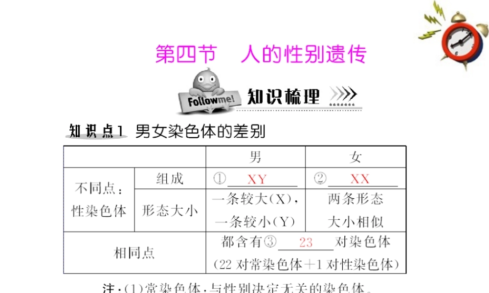 (随堂优化训练)八年级生物下册 第七单元 第二章 第四节 人的性别遗传 配套课件 人教新课标版 课件