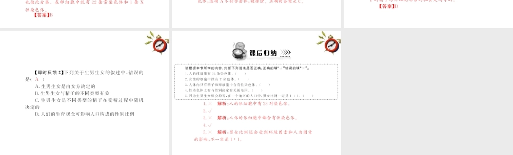 (随堂优化训练)八年级生物下册 第七单元 第二章 第四节 人的性别遗传 配套课件 人教新课标版 课件