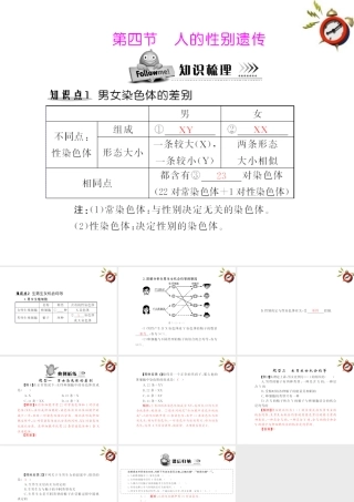 (随堂优化训练)八年级生物下册 第七单元 第二章 第四节 人的性别遗传 配套课件 人教新课标版 课件
