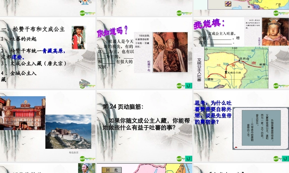七年级历史下册 第5课(和同为一家)课件 人教新课标版 课件