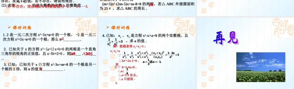 中考数学第二章第六课时 一元二次方程根与系数的关系2课件