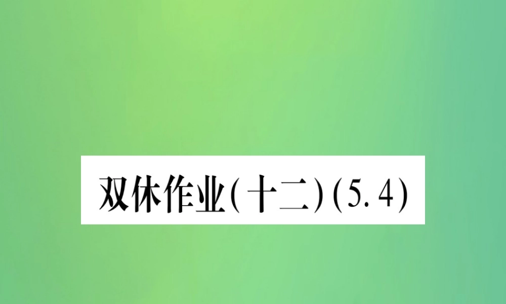 七年级数学上册 双休作业(12)(5.4)作业课件 (新版)冀教版 课件
