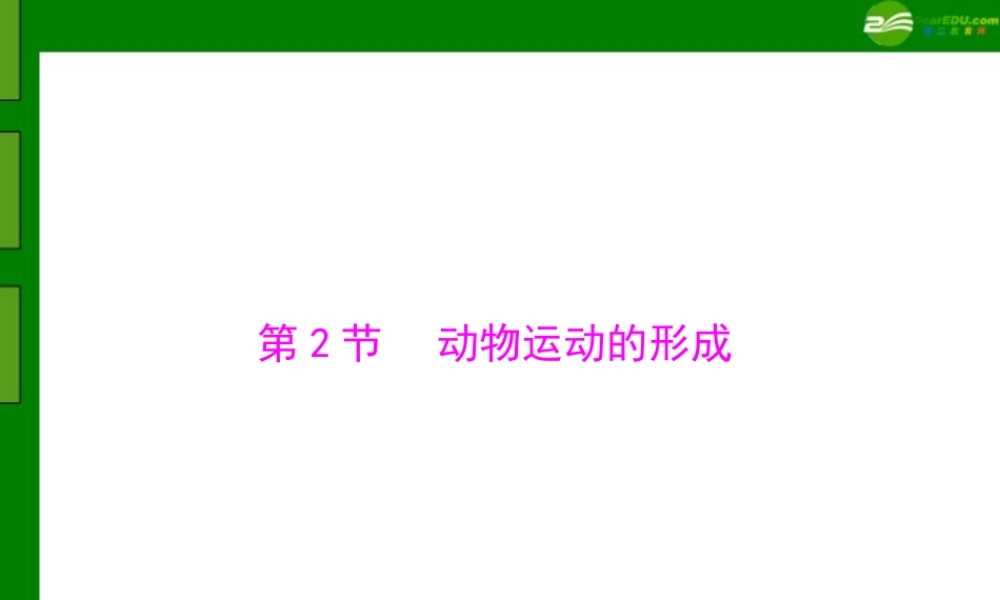 (随堂优化训练)八年级生物上册 第5单元 第15章 第2节 动物运动的形成课件 北师大版 课件