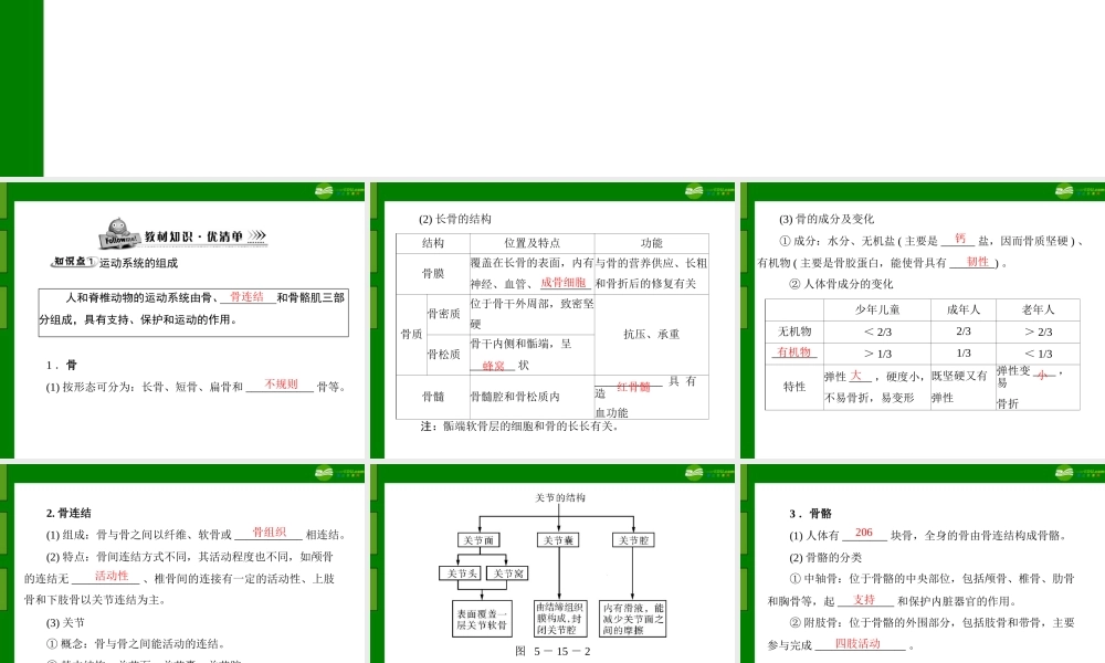 (随堂优化训练)八年级生物上册 第5单元 第15章 第2节 动物运动的形成课件 北师大版 课件