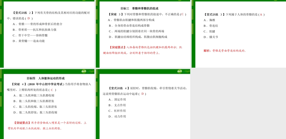 (随堂优化训练)八年级生物上册 第5单元 第15章 第2节 动物运动的形成课件 北师大版 课件
