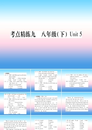 中考英语准点备考 第一部分 教材系统复习 考点精练九 八下 Unit 5课件